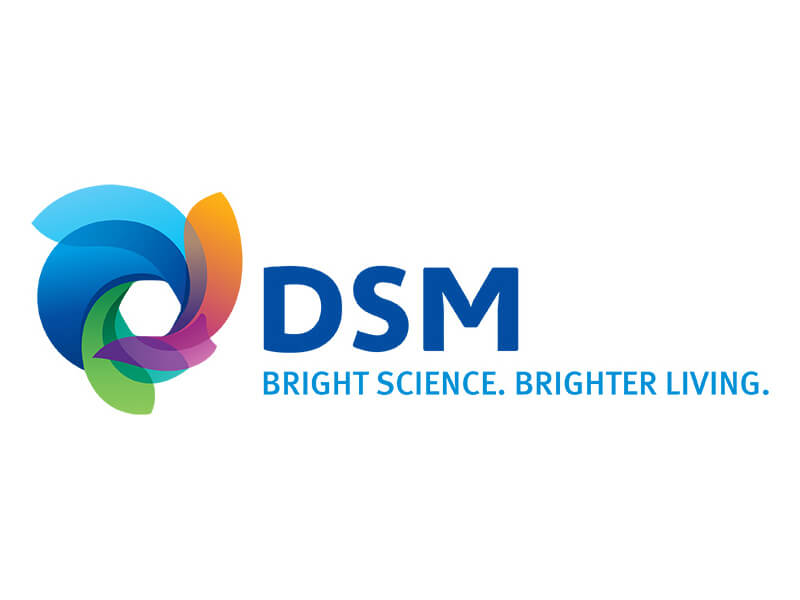 DSM logo