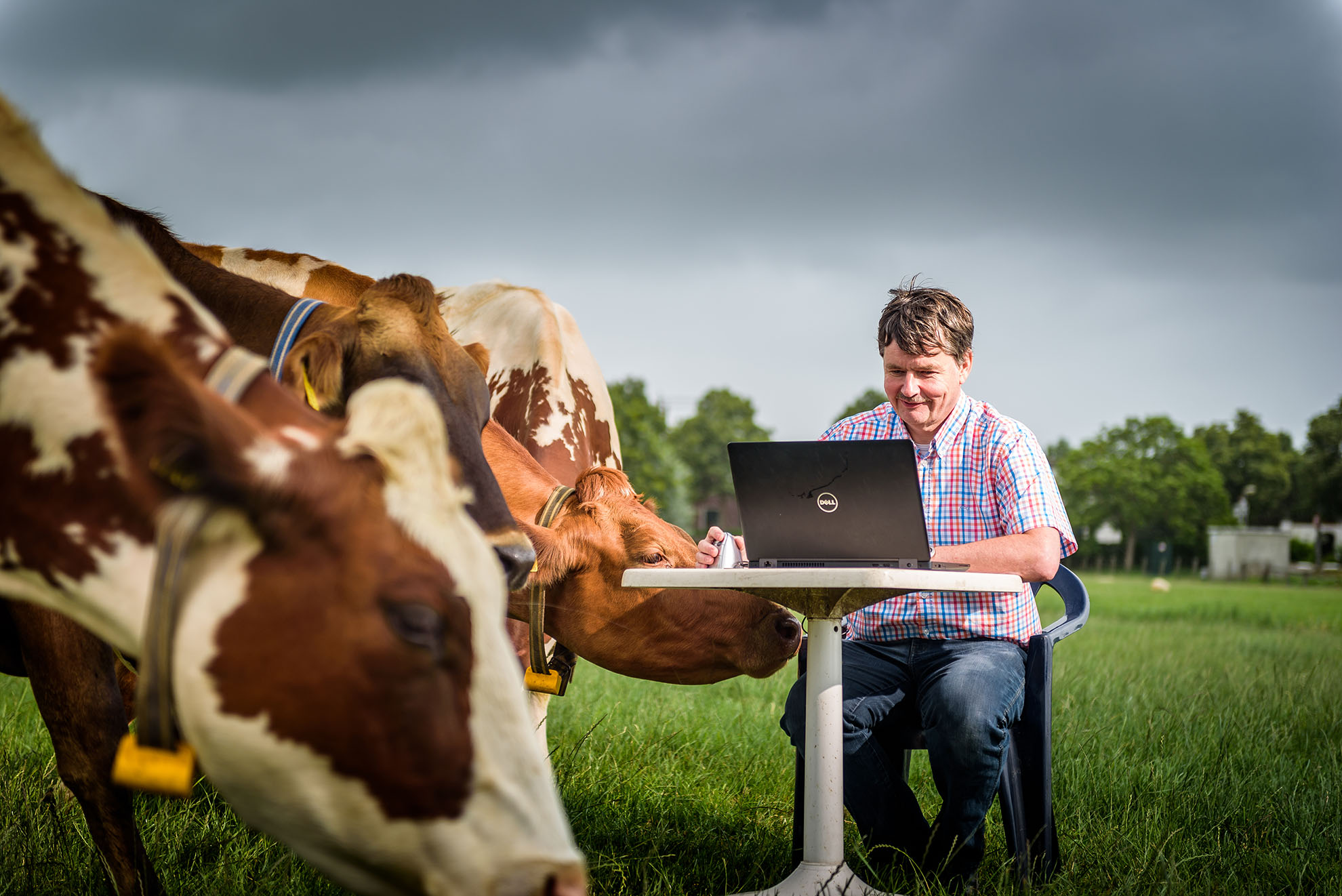 Two million litres of raw milk a day