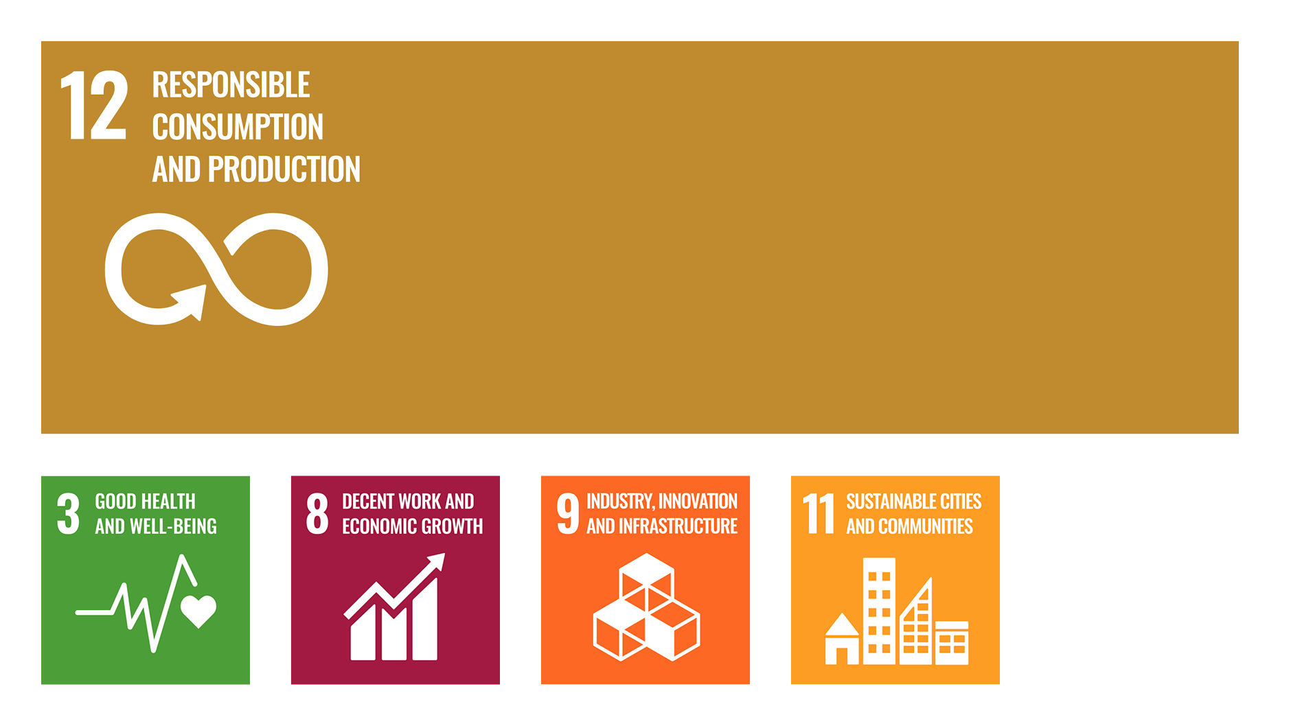 sdg 12