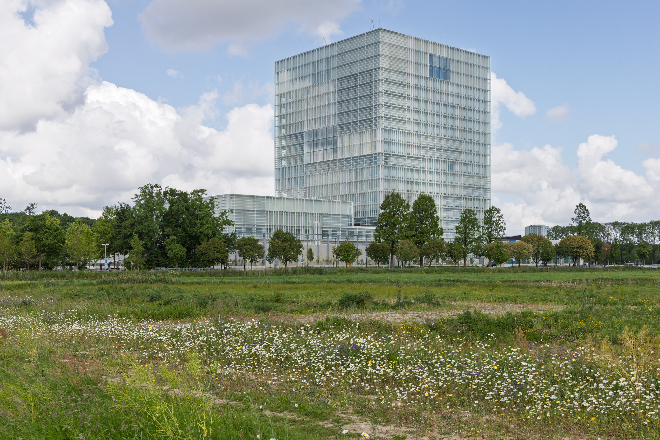 RIVM