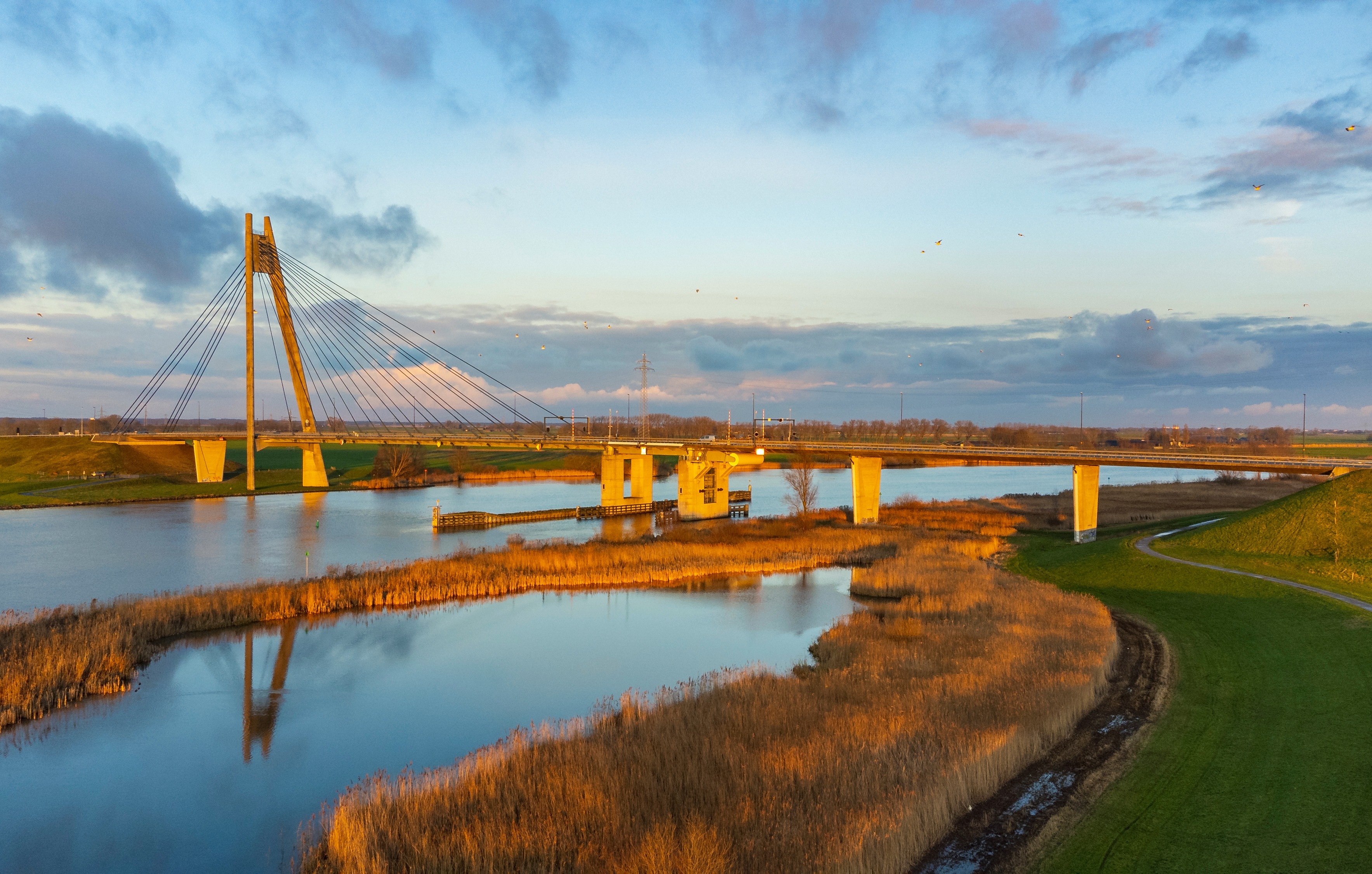 Vitale infrastructuur
