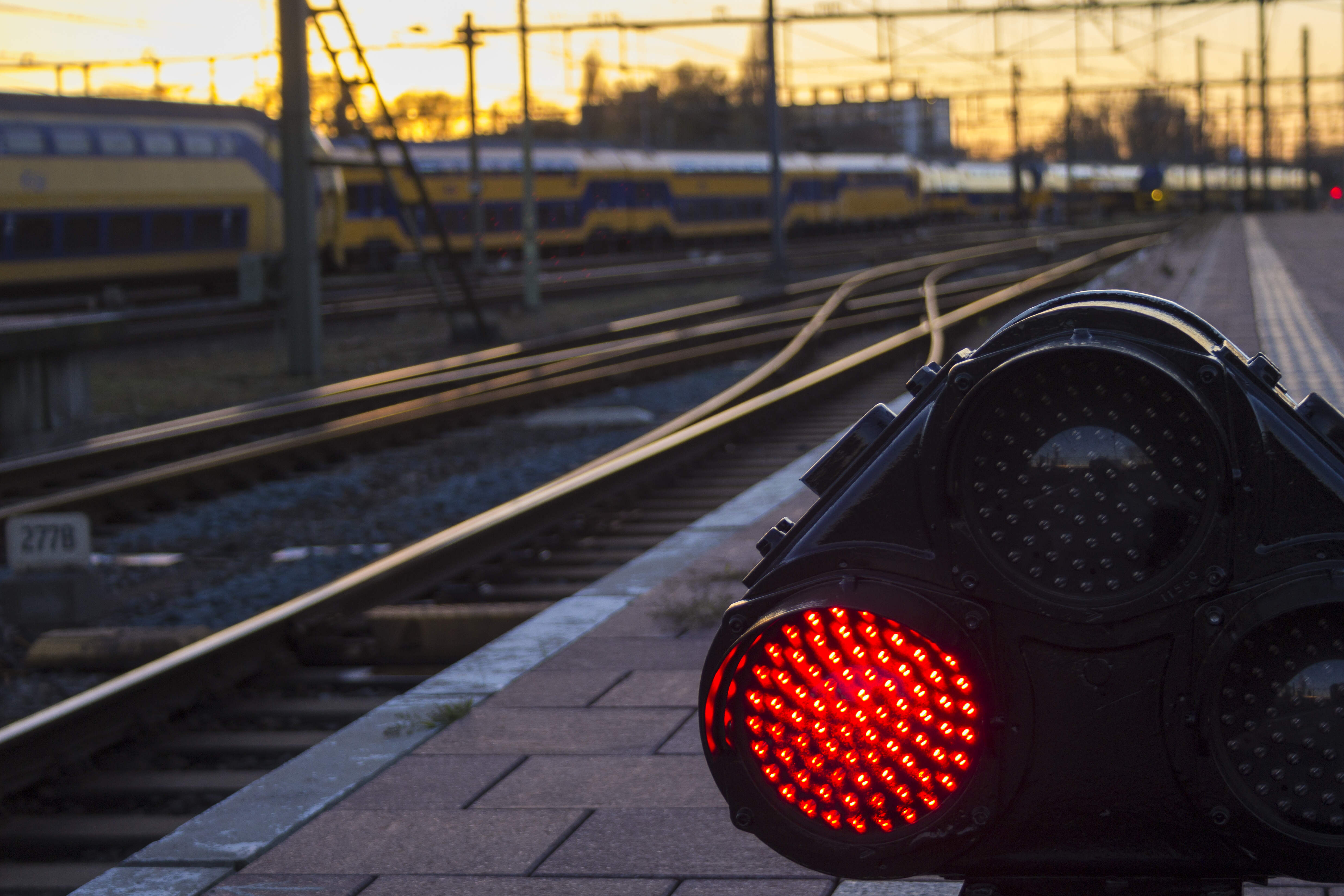 Rood sein