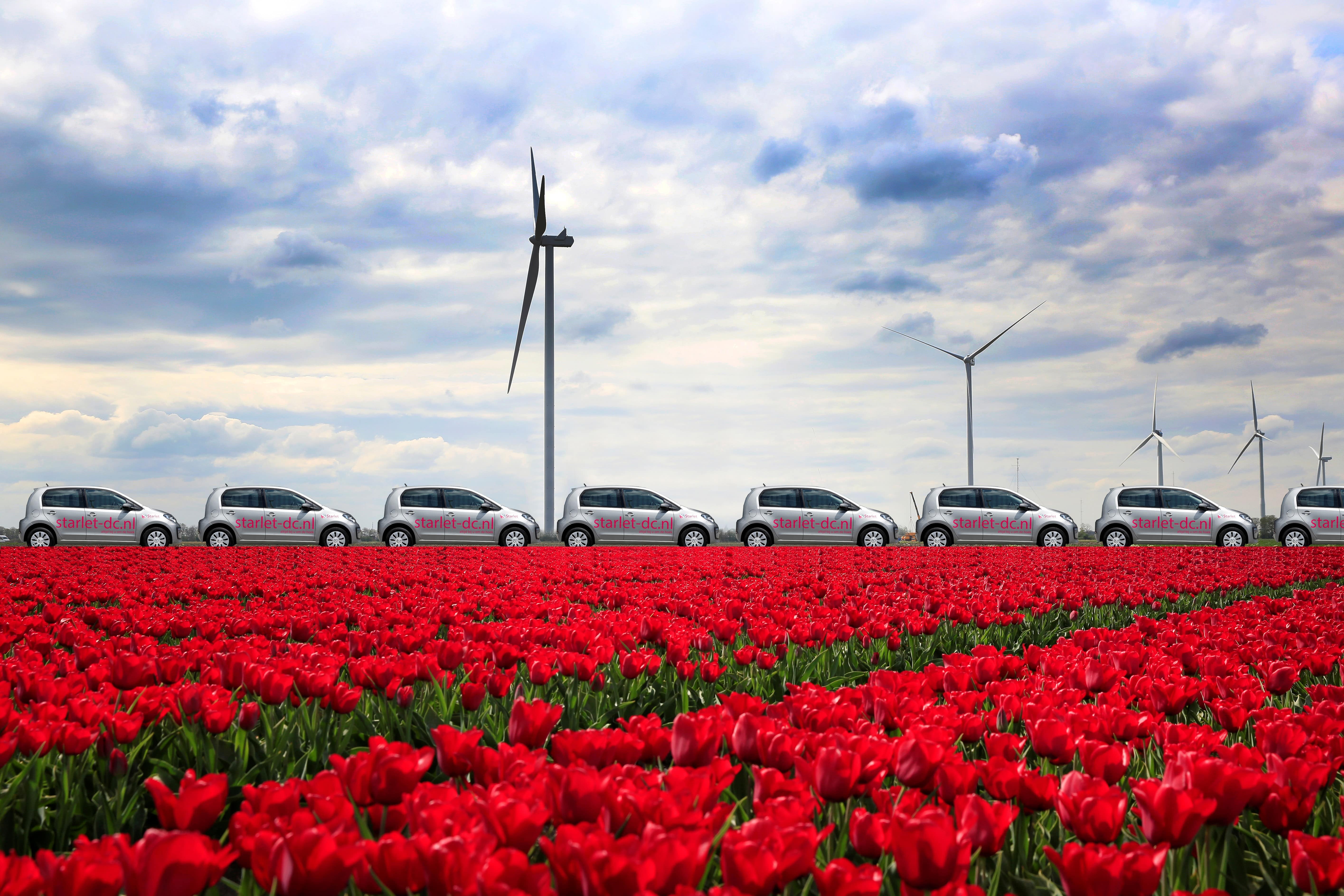 Auto's van Starlet in tulpenveld